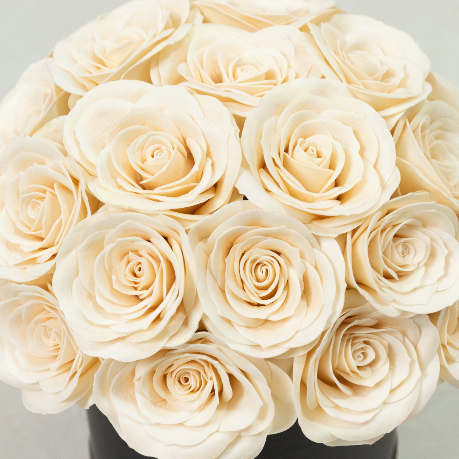 Ivory  Prearranged Rose Centerpiece Arrangement, 27pcs Roses with Black Round Gift Box